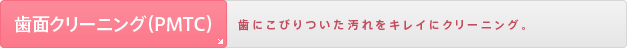 歯面クリーニング（PMTC）